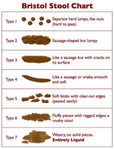 Bristol Stool Chart showing stool types 1 to 7, ranging from separate hard lumps (constipation) to entirely liquid stools (diarrhoea)